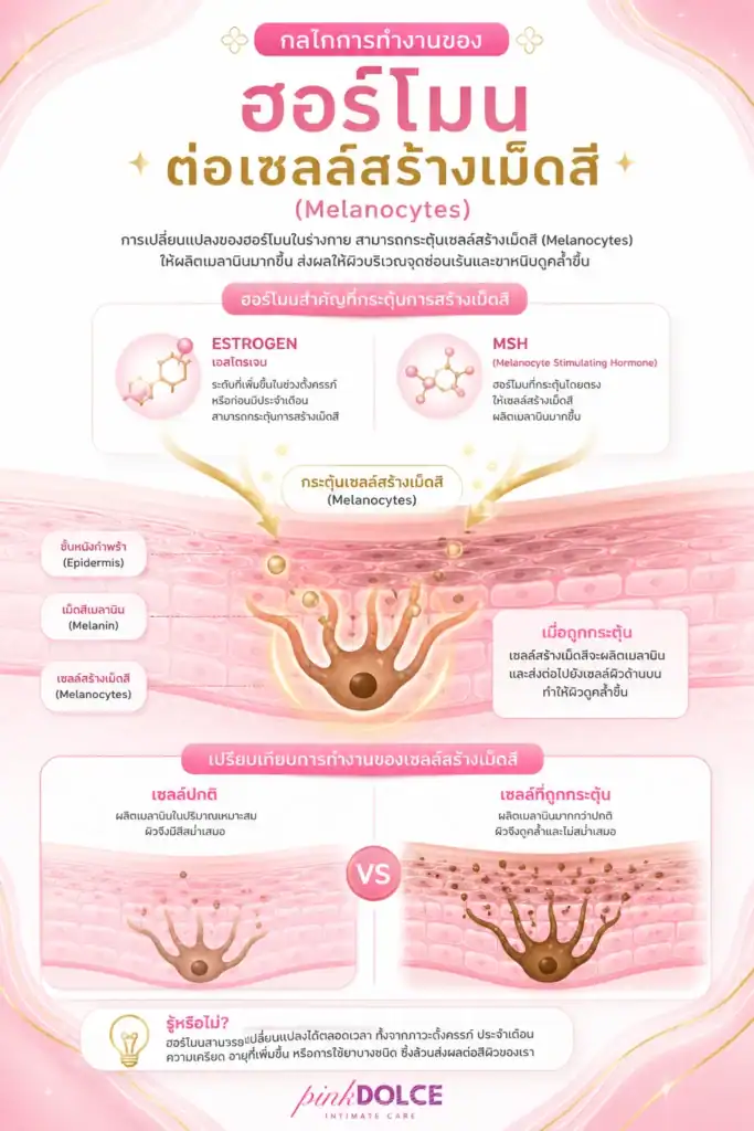 วิธีแก้ปัญหาผิวคล้ำจากฮอร์โมนด้วย Pink Dolce